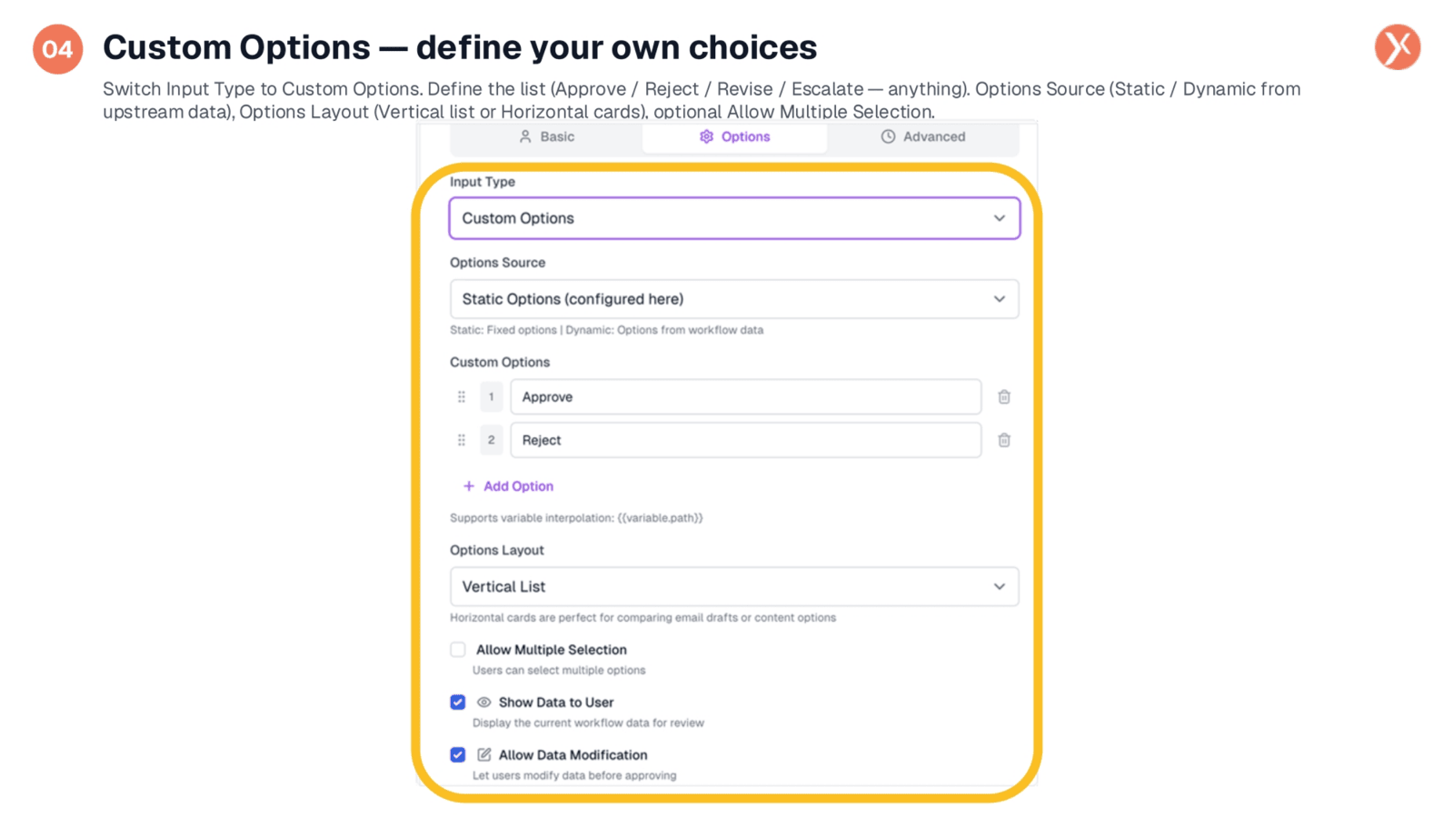 Custom Options: Defining Your Own Choices